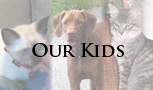 Our kids: Panama, Laszlo and Leia